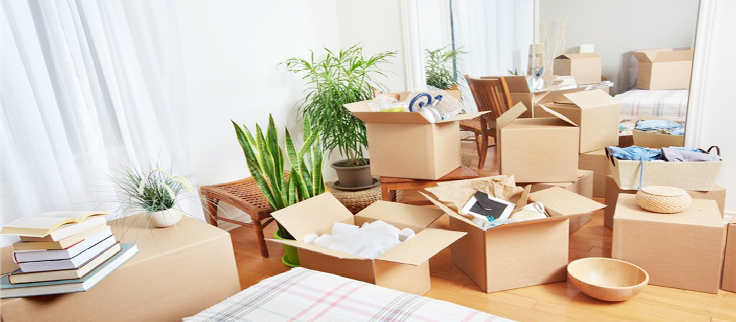 Money Saving International Moving Service with Secure and Fast Transporting 